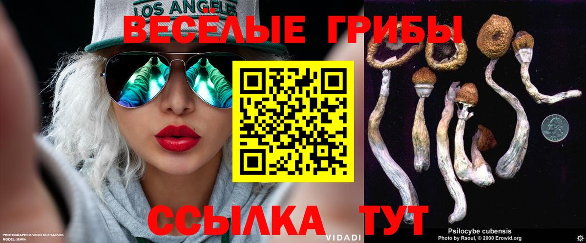 Галлюциногенные грибы Psilocybe Краснокамск