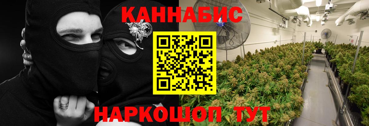 Конопля OG Kush Краснокамск